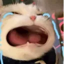 1stwasabi