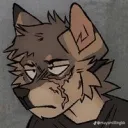 kasper.tv avatar