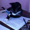 avatar Antares(E'lir)🦂