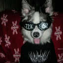 avatar Antares(E'lir)🦂