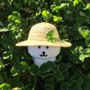 avatar 𐙚       𝐍