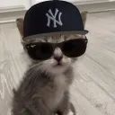 nikmakk