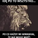 rodvar