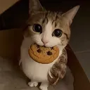 rellshmolp
