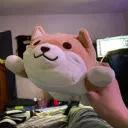 joeythesuperjoo