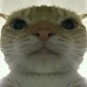 hiroyoshi8628 avatar