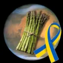 space_asparagus