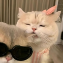 avatar ᲼᲼᲼᲼᲼