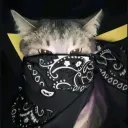anggaontop