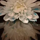 yogawithjen
