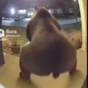 5ynced