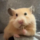 Discord Avatar