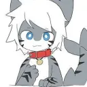 kkbiluga