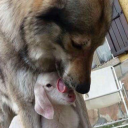 avatar small dick big hopes