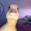 thatps5