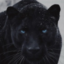 7a634ac6d1e44aafc888be874036e207