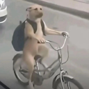 Dd7b521a1c5ac8aaf2c3211af765e46b