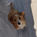 avatar 𝐀𝐧𝐢𝐭𝐭𝐚