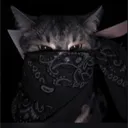 cxgrizzy