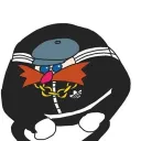 phenomenal_raccoon_84160