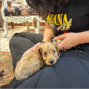 avatar thatswhatshesaid