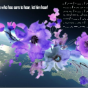 avatar 𝔷𝔦𝔩𝔩𝔞𝔥