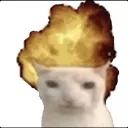 vedah.ur.mom