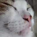 wilkyv___ avatar
