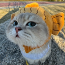 avatar Luna