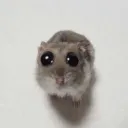 .mxw.