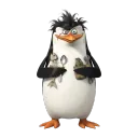 rex.chwarbaxi