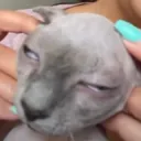 belupacito4700 avatar