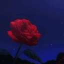 avatar Rose