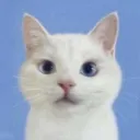 michlfs