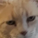 petefrompittsbur