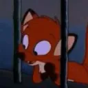 brandypipe6444