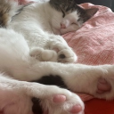 avatar Holly (humble)