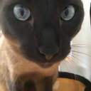 antonuslebus member profile picture
