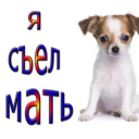 avatar Мухоблуд