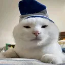 imjaejuingit