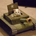 gam313