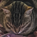 avatar CasualScreeching