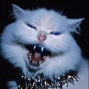 cts666