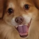 gabe.itches.