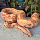 avatar {UBG} Th3_Chosen