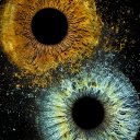 axels2601