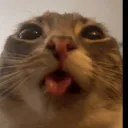 iamwomboo