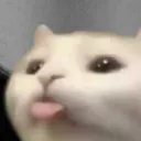 dn._._