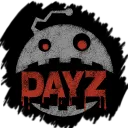 SS9-DayZ