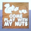 Thedagman16